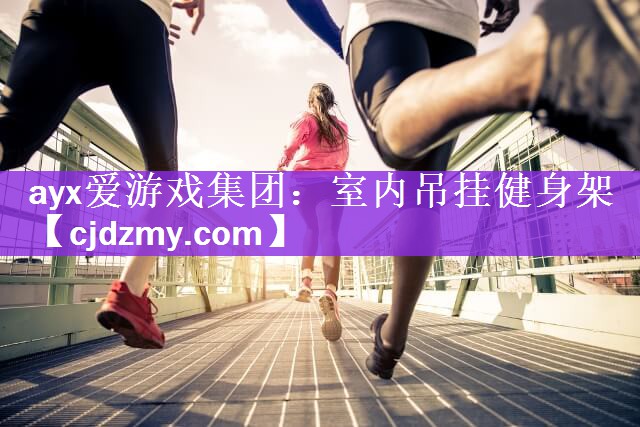 ayx爱游戏集团：室内吊挂健身架