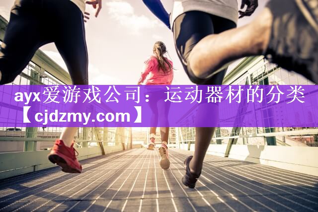 ayx爱游戏公司：运动器材的分类