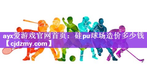 ayx爱游戏官网首页：硅pu球场造价多少钱