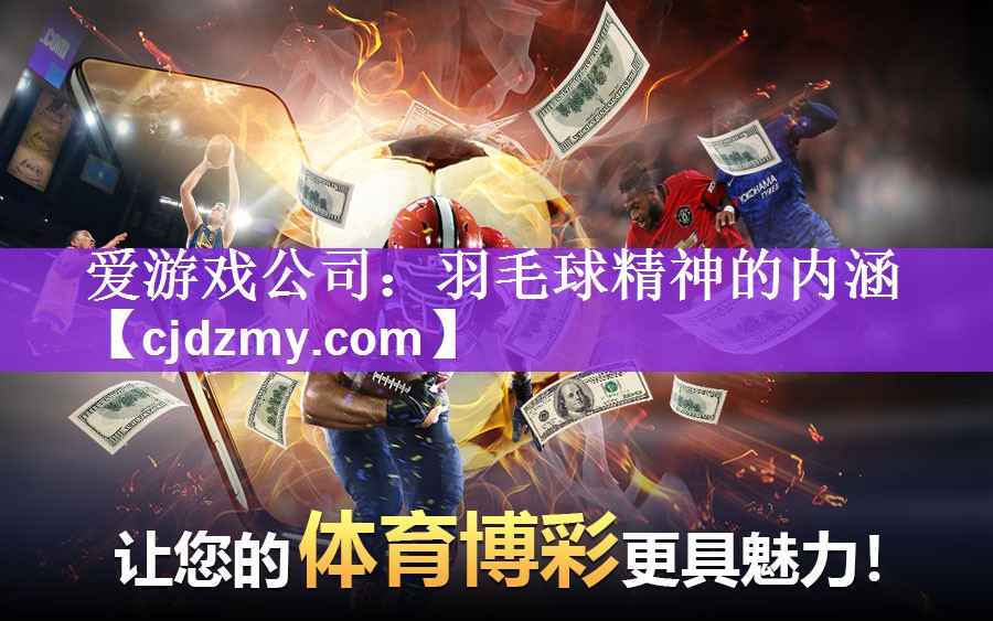 爱游戏公司：羽毛球精神的内涵