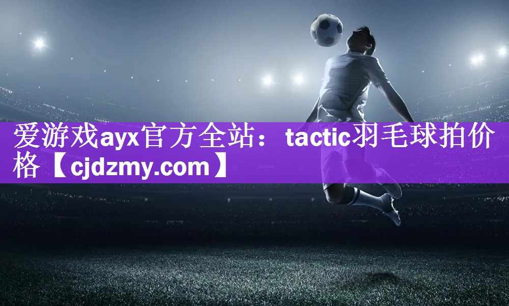 tactic羽毛球拍价格